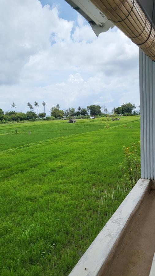 Kartika Villas Lovina Exteriör bild